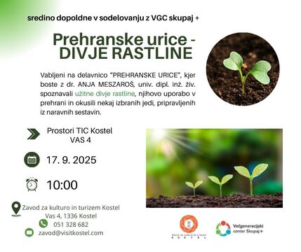 sredino dopoldne v sodelovanju z VGC skupaj +